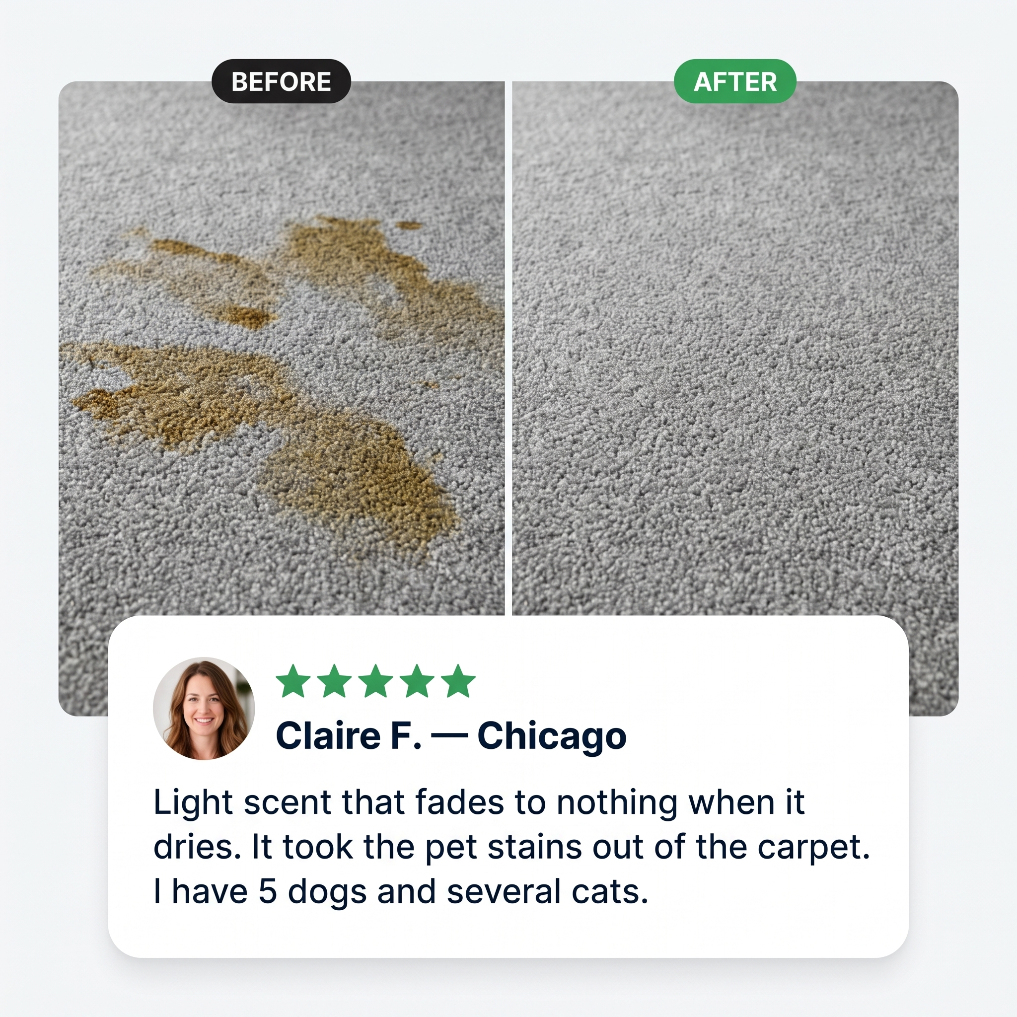 Carpet before and after Odorsy